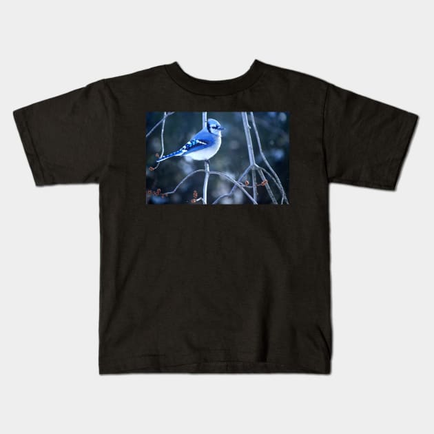 Bluejay Kids T-Shirt by LaurieMinor